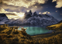 Puzzle 1000 pzs. Humboldt Ed. Guanacos